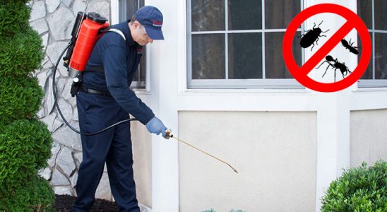 Kalecik Hamam Böceği İlaçlama böcek ilaçlama ve haşere kontrolü — ilaclama-tr.com